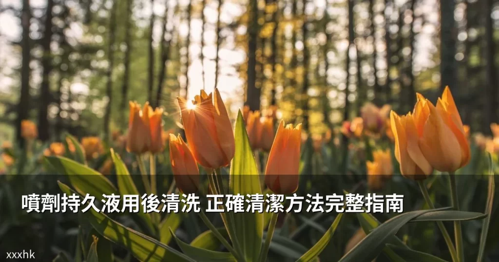 噴劑持久液用後清洗|正確清潔方法與注意事項完整指南 6 xxxhk cover 6955