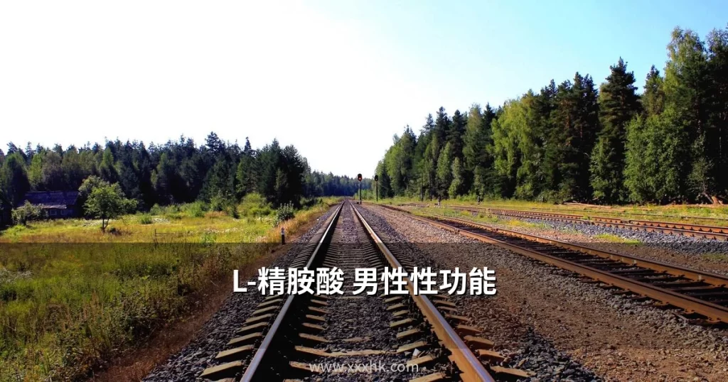 L-精胺酸對男性性功能的功效|完整補充指南 6 xxxhk cover 1783024853